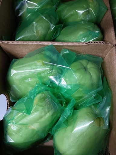 Fresh Chayote /kg