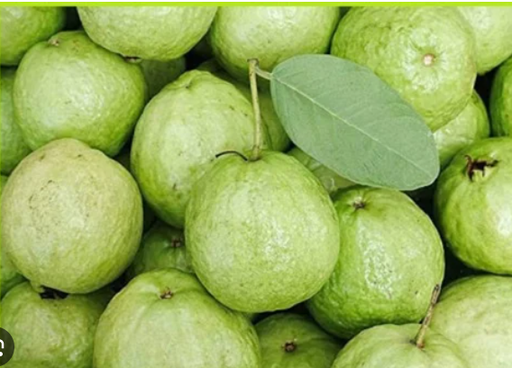 Fresh Guava /kg