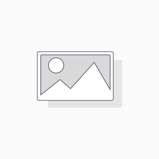Playing Cards 988