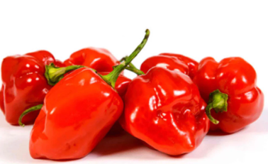 Fresh Habanero /kg